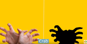 le crabe